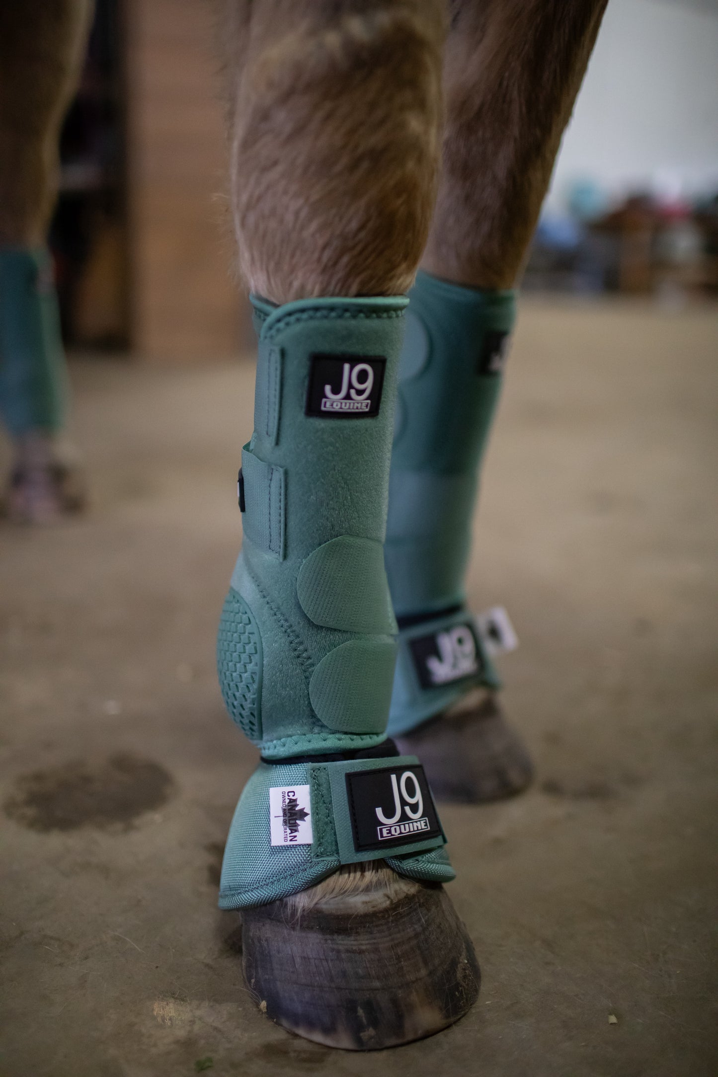 Platinum I Sports Boots FRONTS AND HINDS