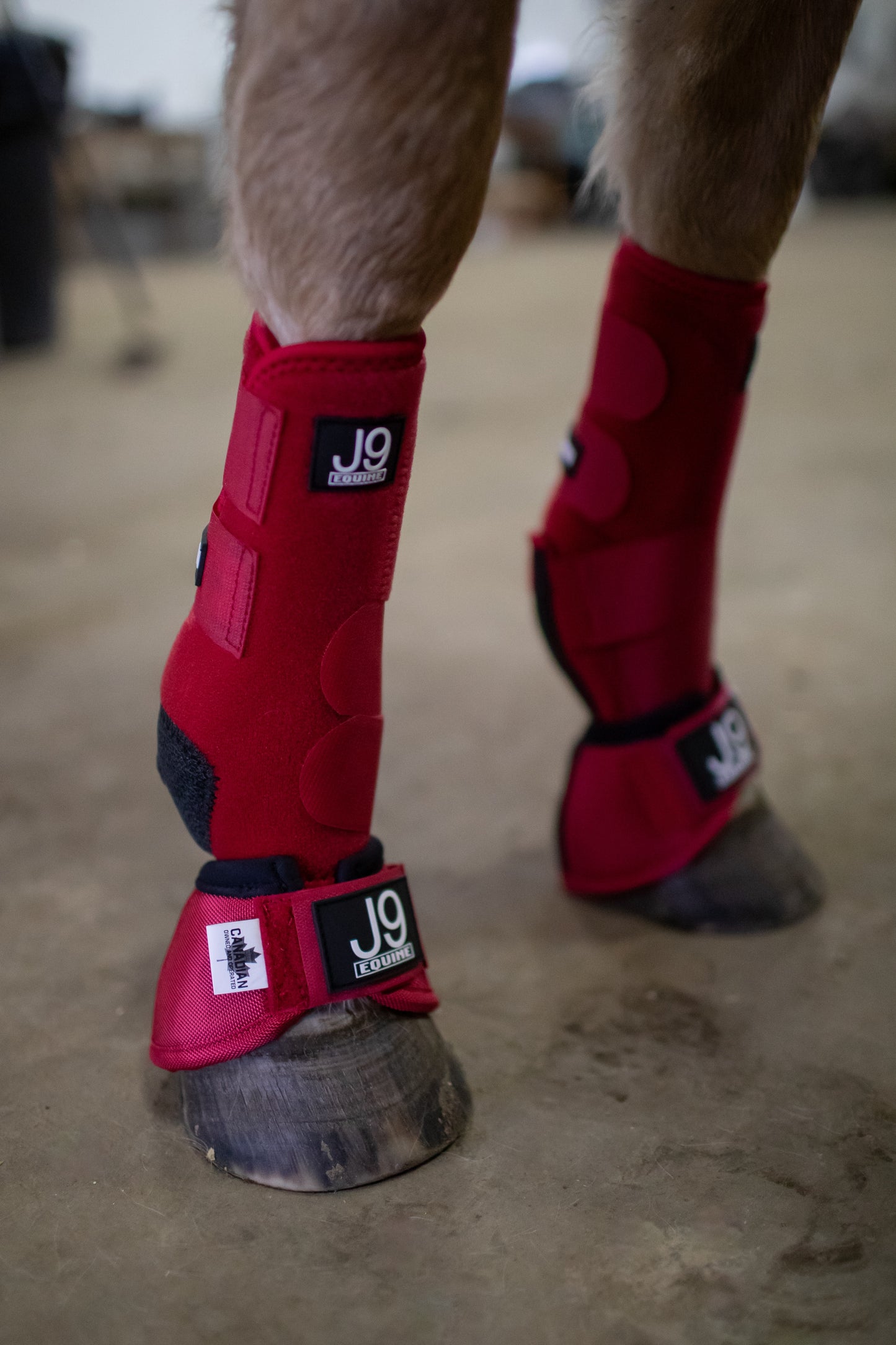 Platinum II Sports Boots FRONTS AND HINDS