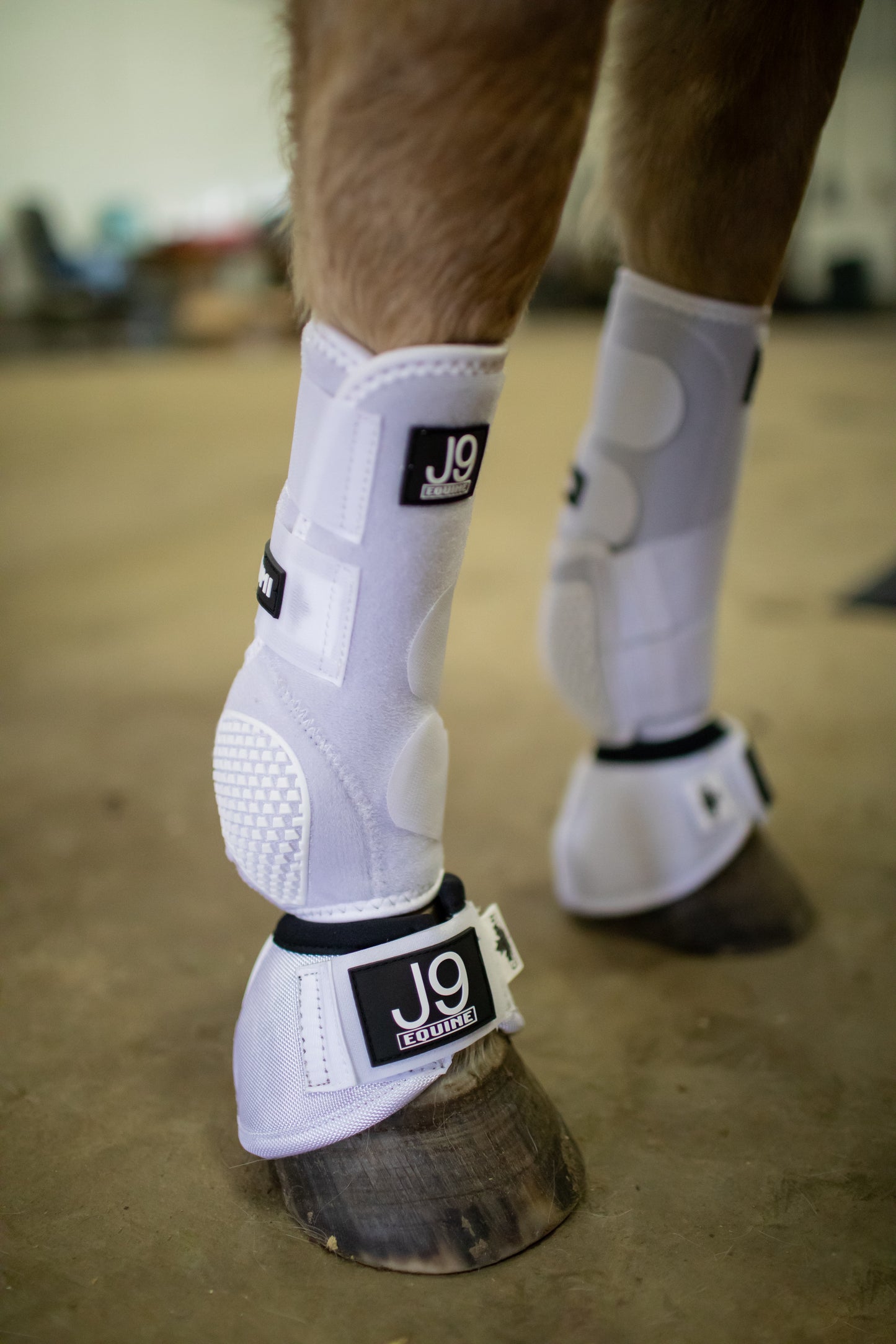 Platinum I Sports Boots FRONTS AND HINDS