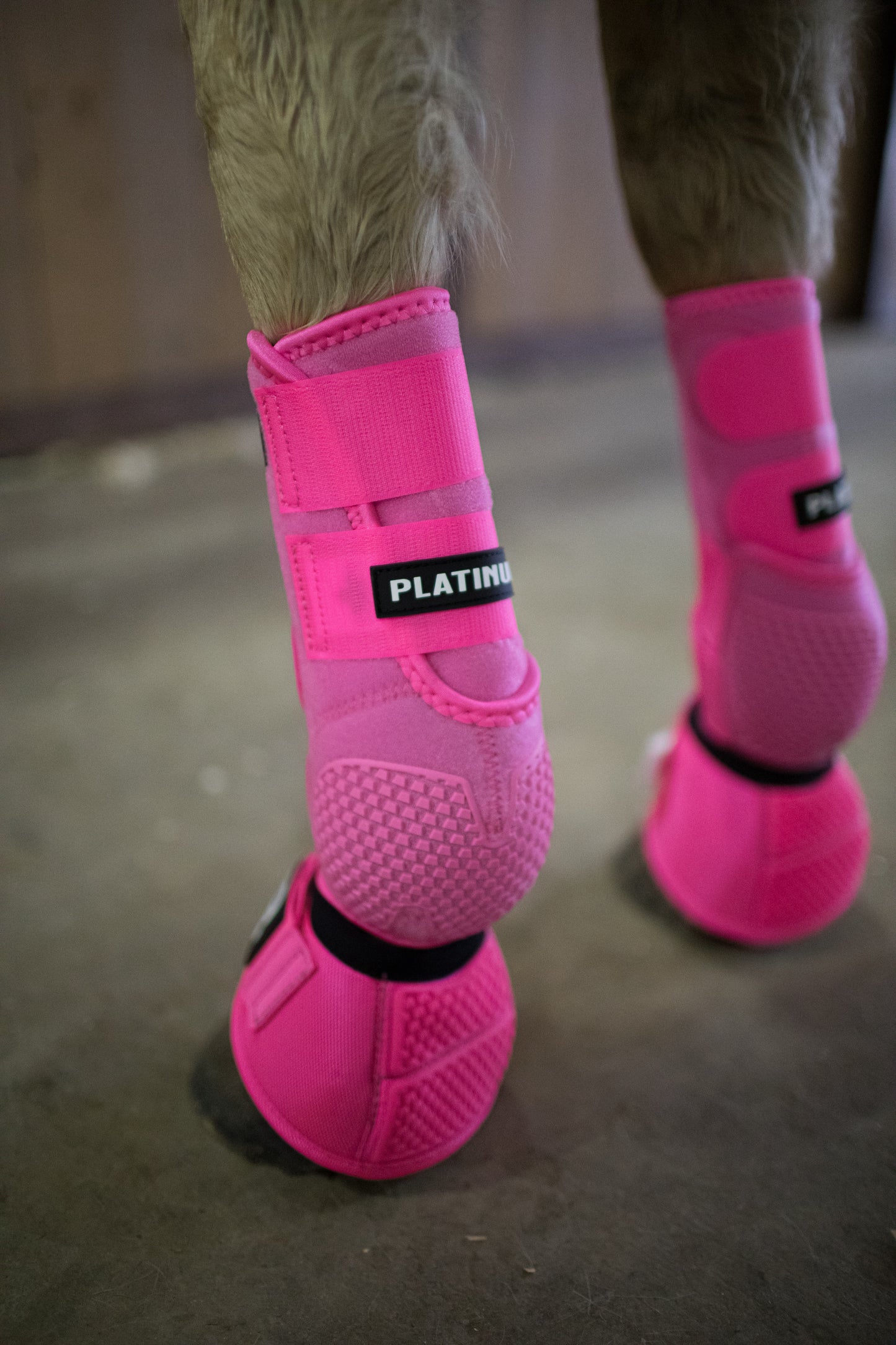 Platinum I Sports Boots FRONTS AND HINDS