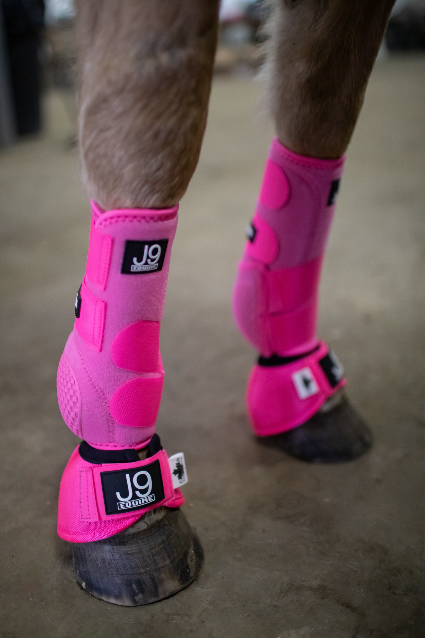 Platinum I Sports Boots FRONTS AND HINDS