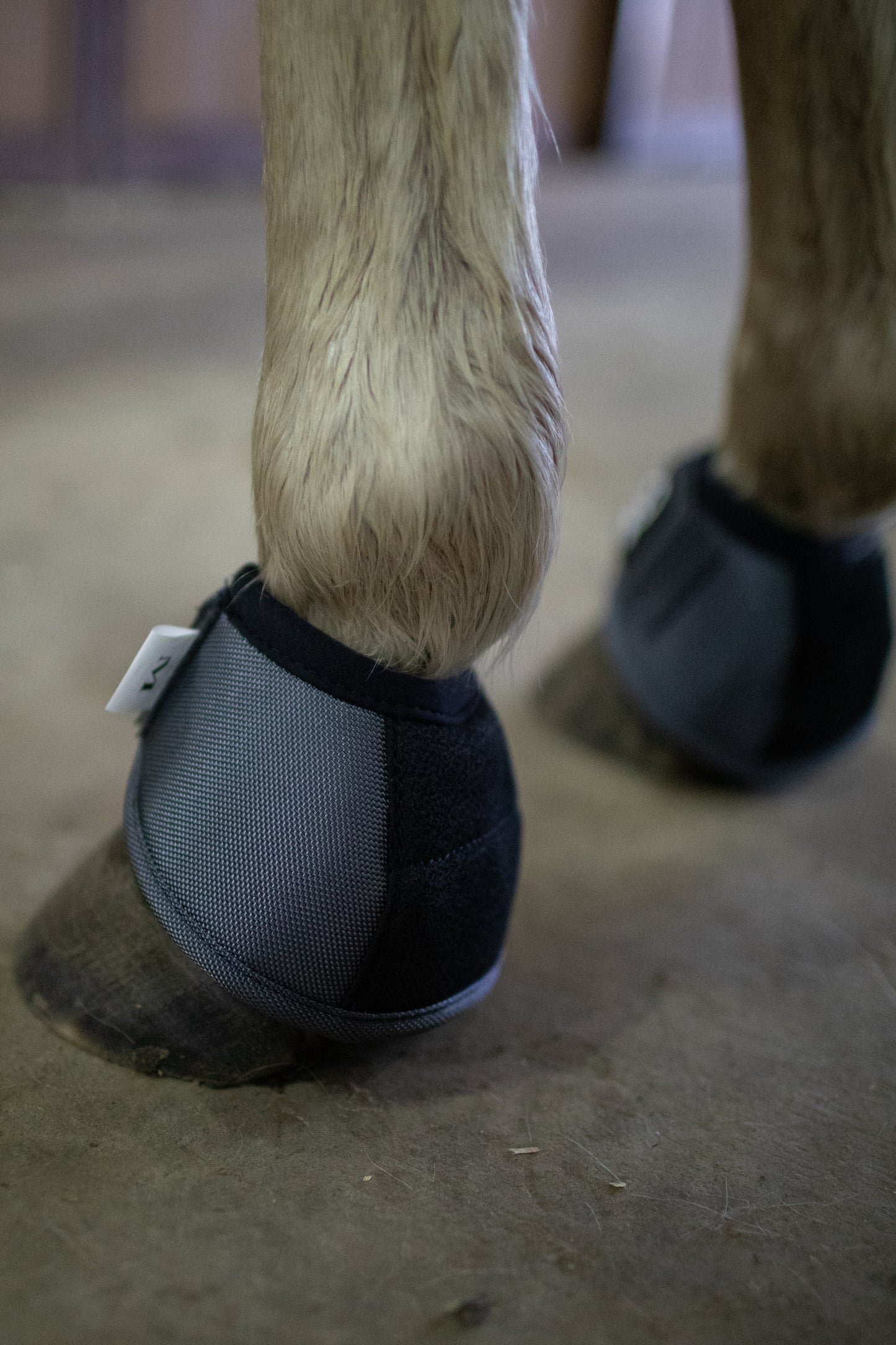 Platinum II No Turn Bell Boots