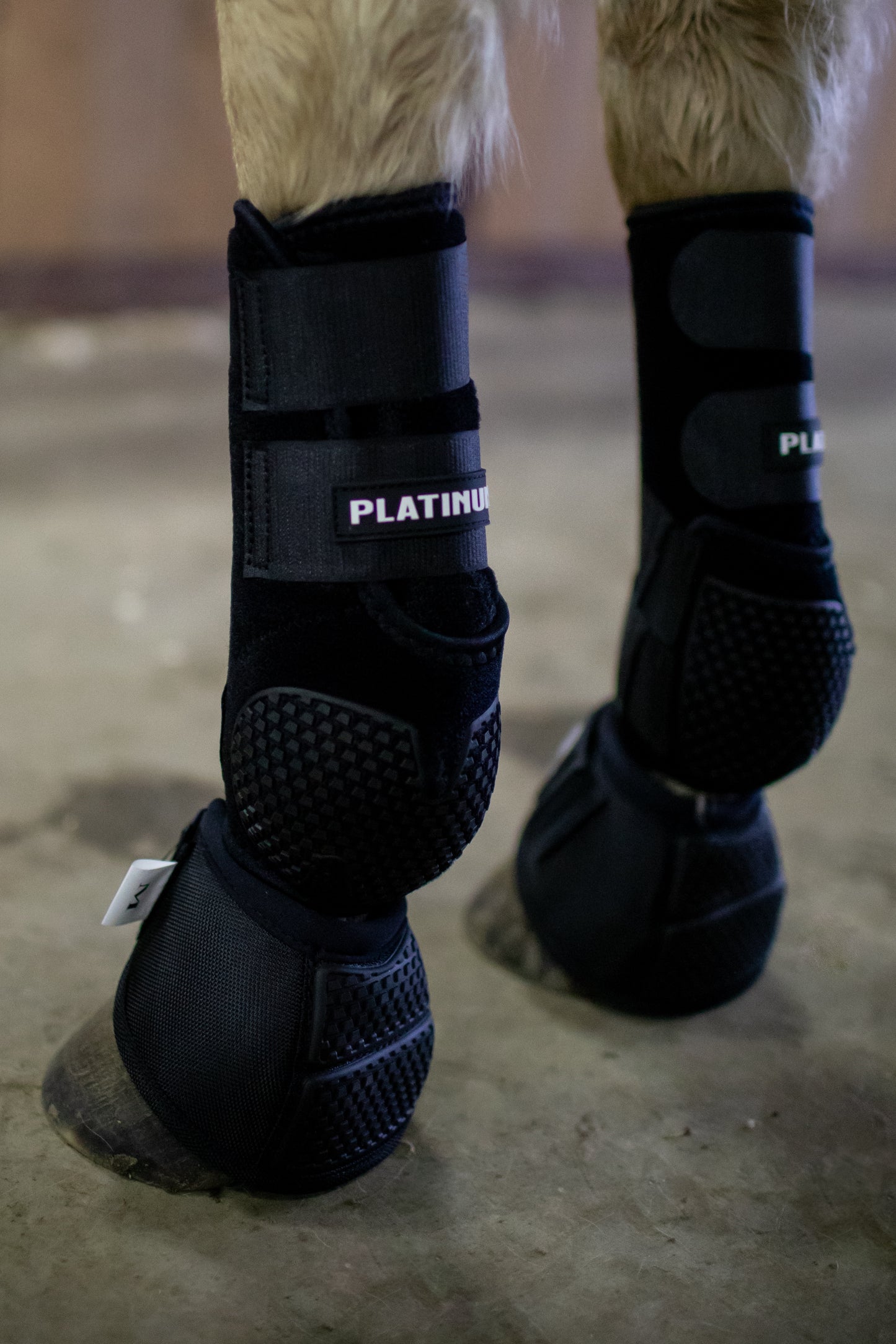 Platinum I Sports Boots FRONTS AND HINDS