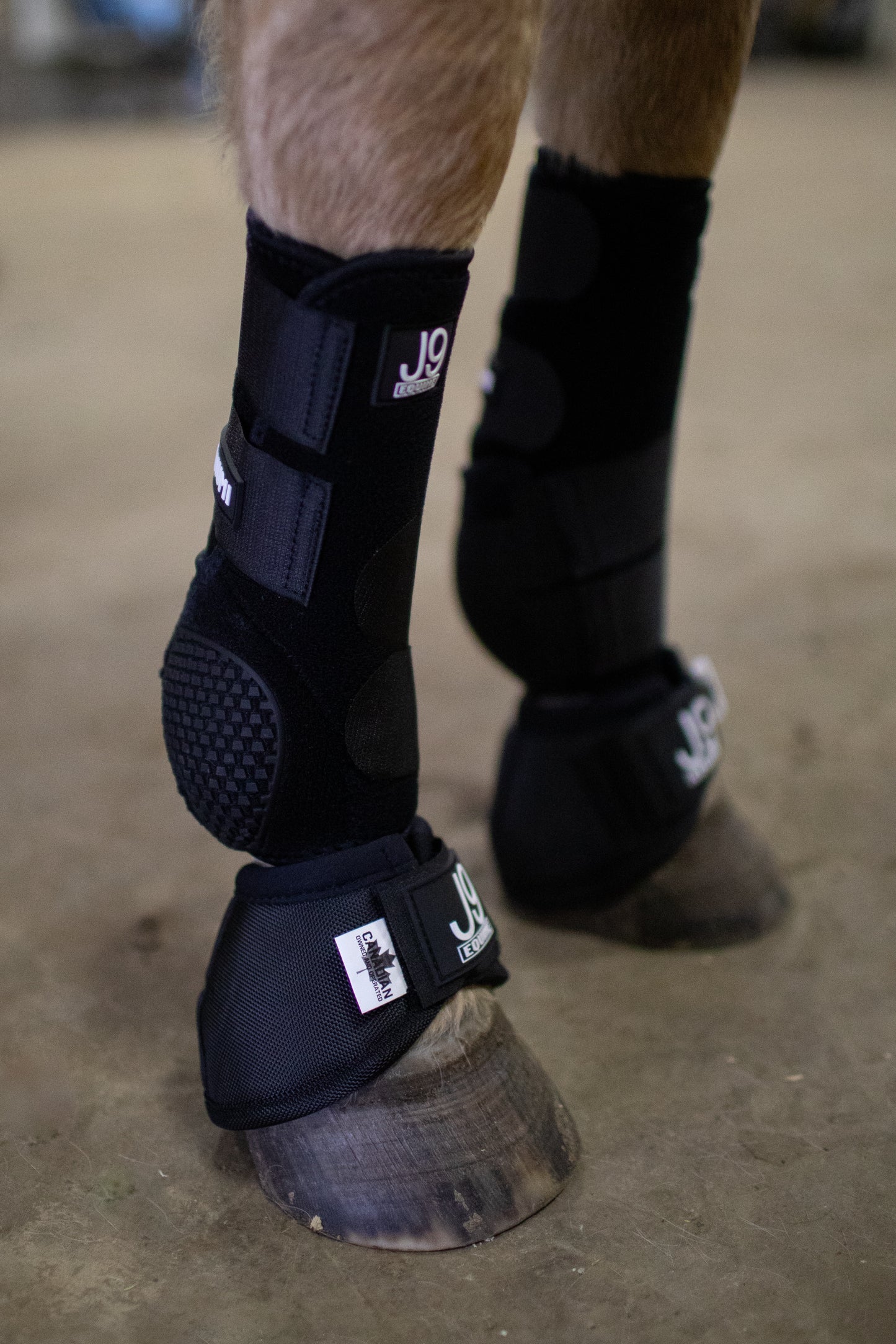 Platinum I Sports Boots FRONTS AND HINDS