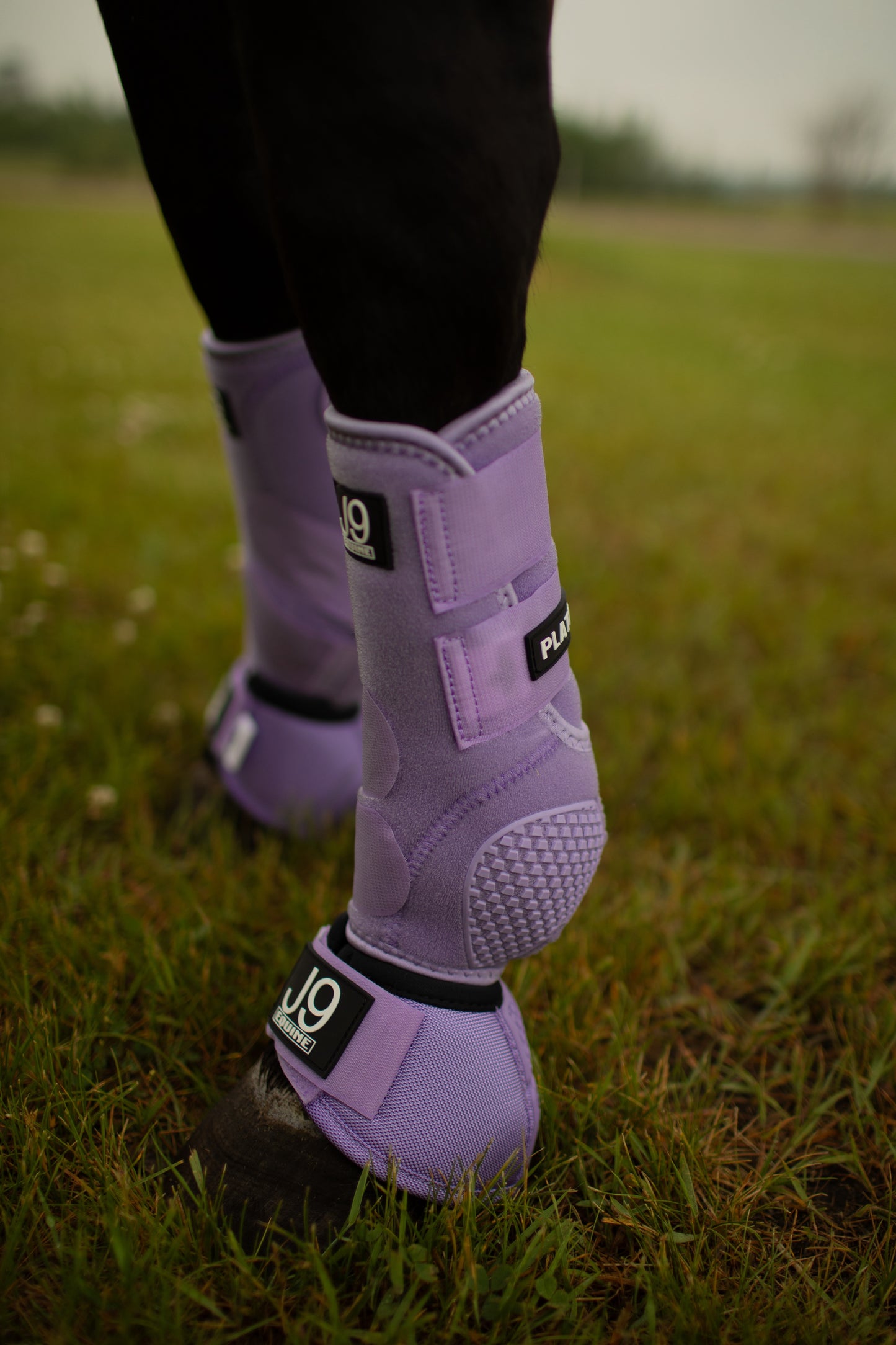 Platinum I No Turn Bell Boots