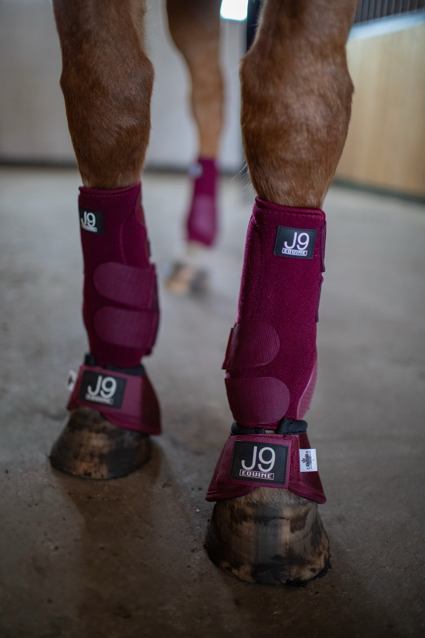 Platinum I Sports Boots (New Version) FRONTS