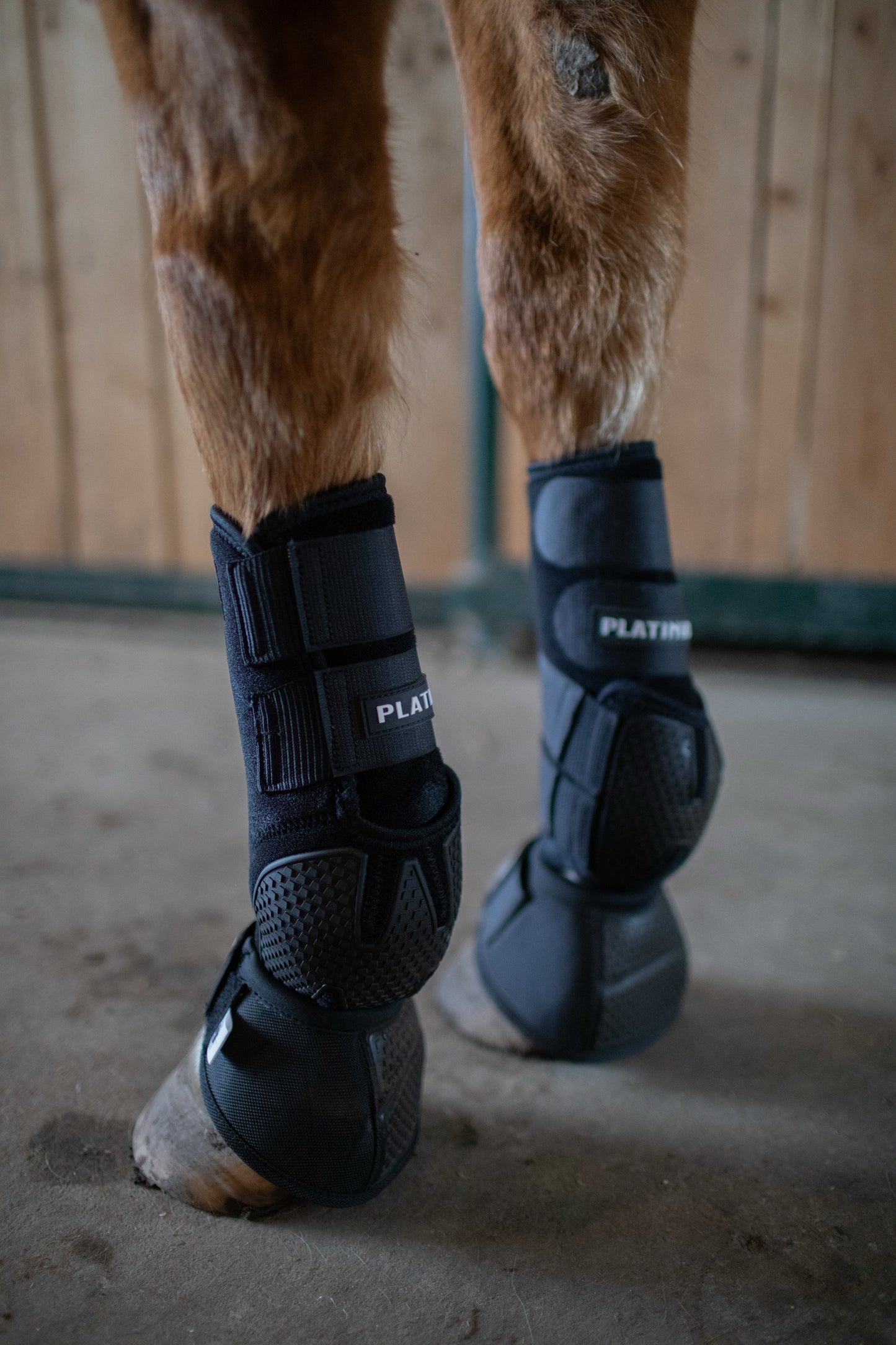Platinum I Sports Boots (New Version) FRONTS