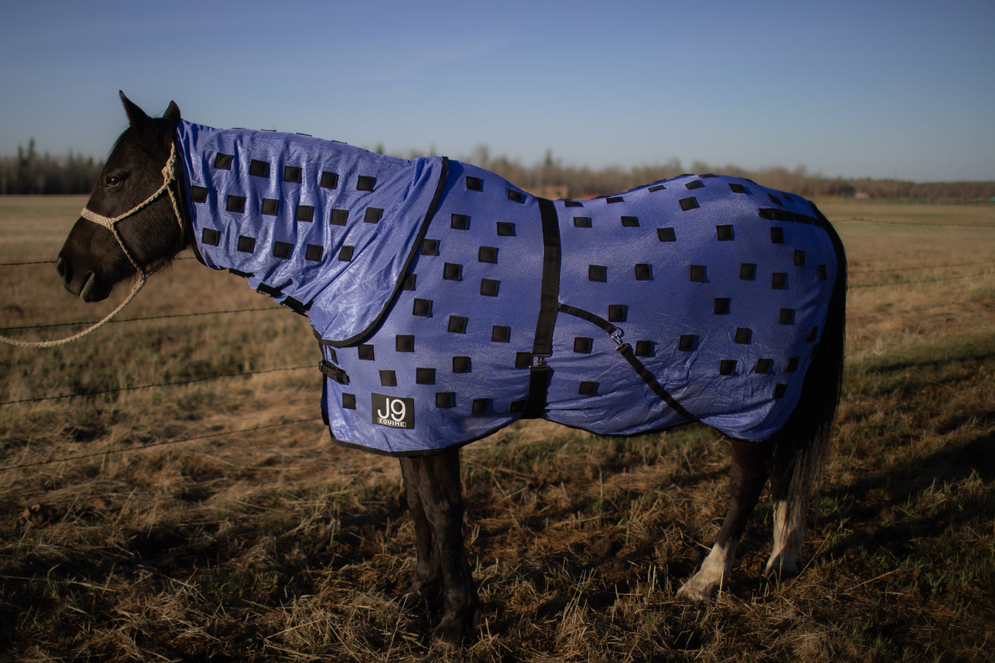 Magnetic Sheet with Detachable Hood - Lavender