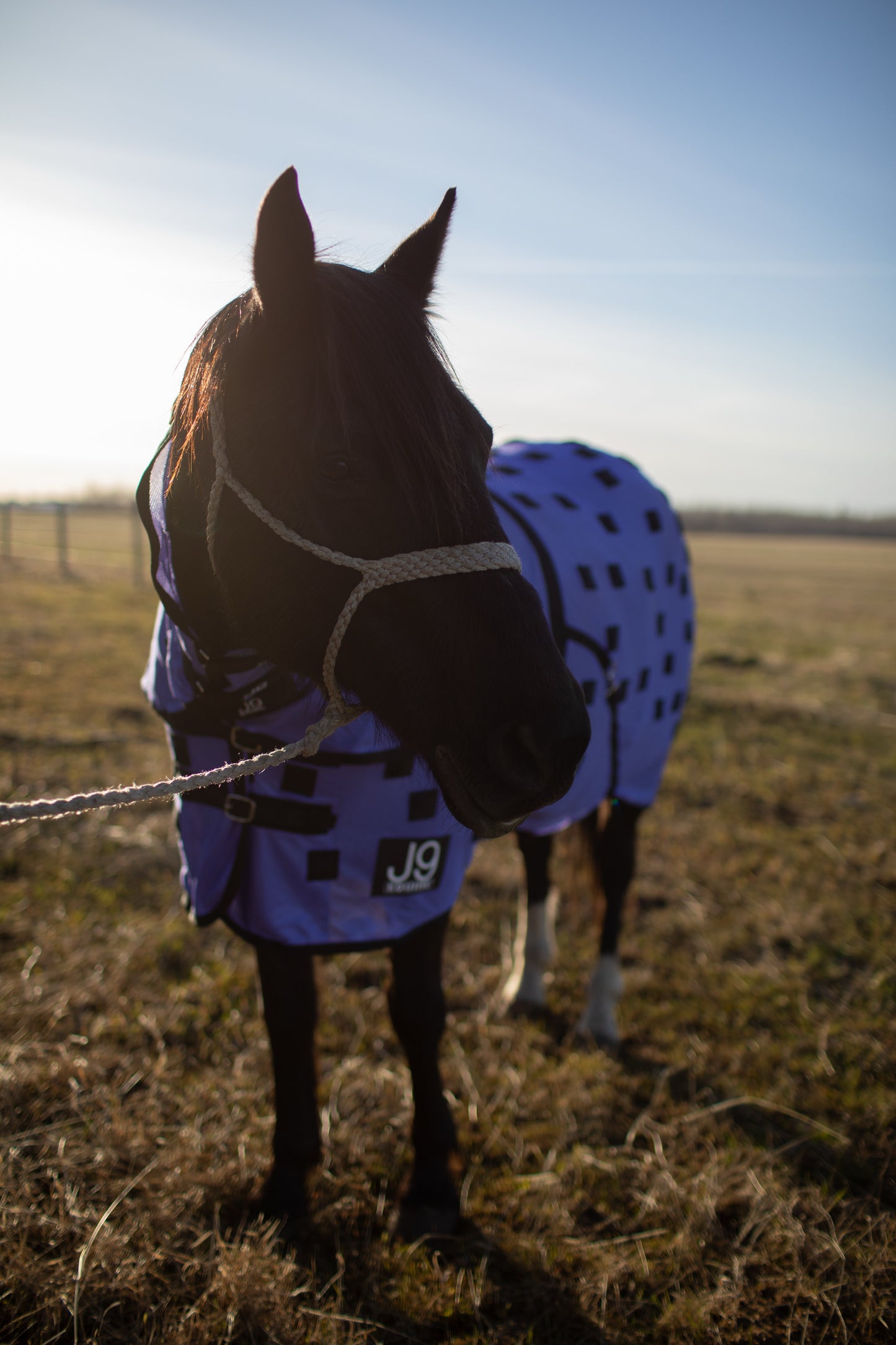 Magnetic Sheet with Detachable Hood - Lavender