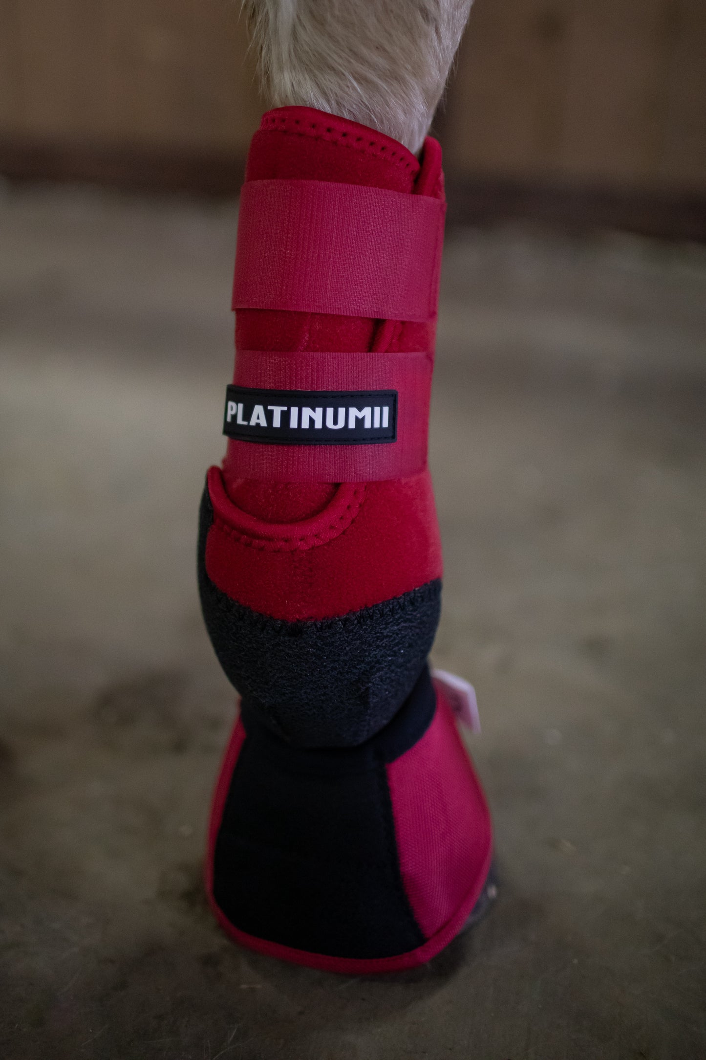 Platinum II No Turn Bell Boots