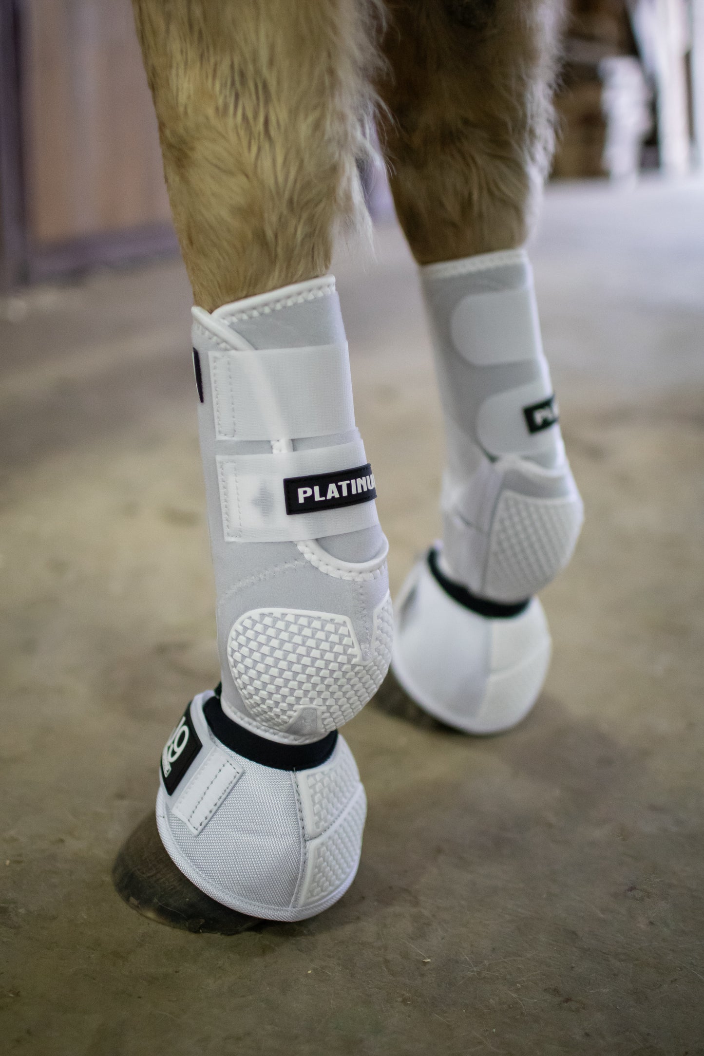 Platinum I Sports Boots FRONTS AND HINDS