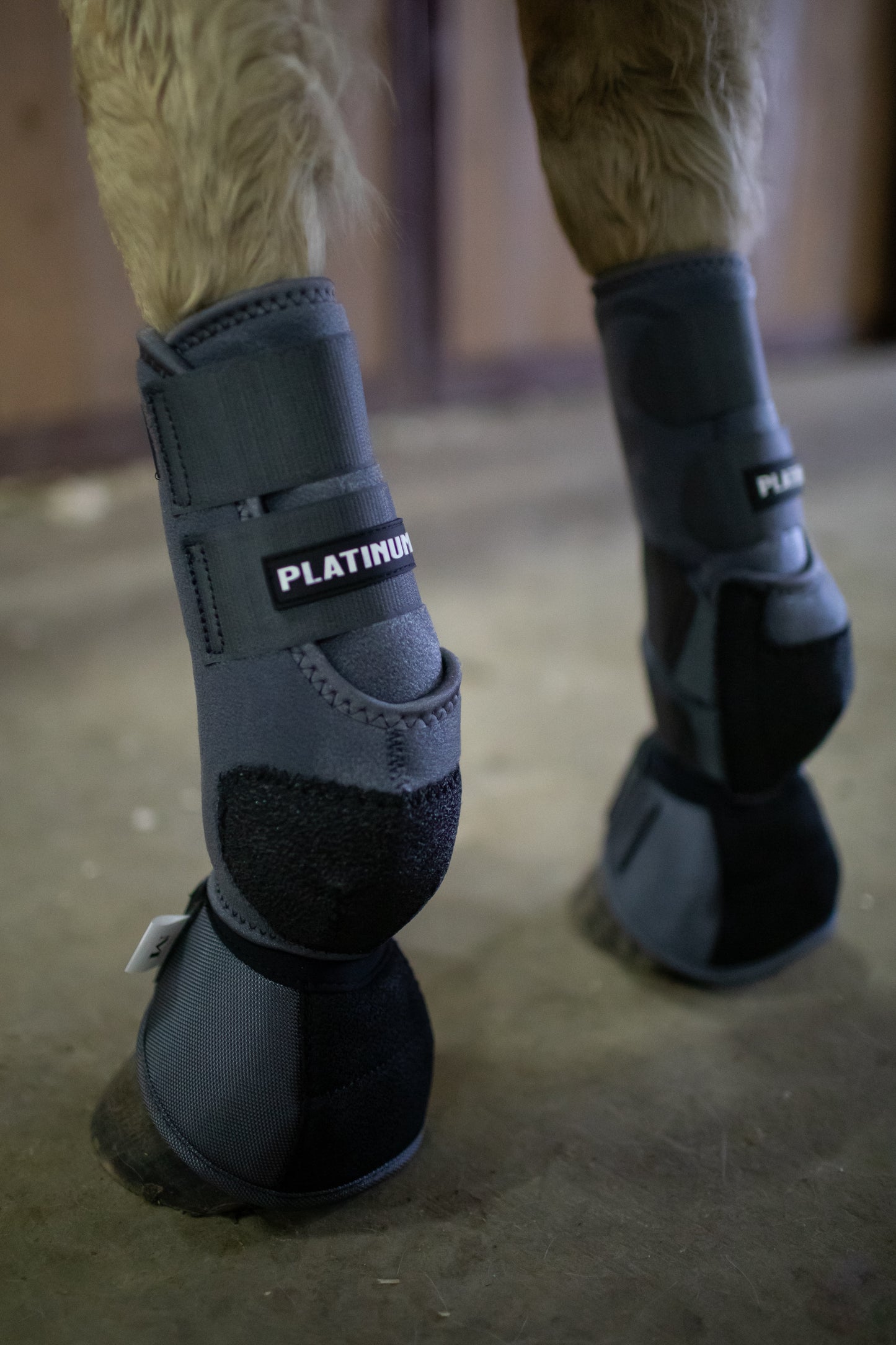 Platinum II Sports Boots FRONTS AND HINDS