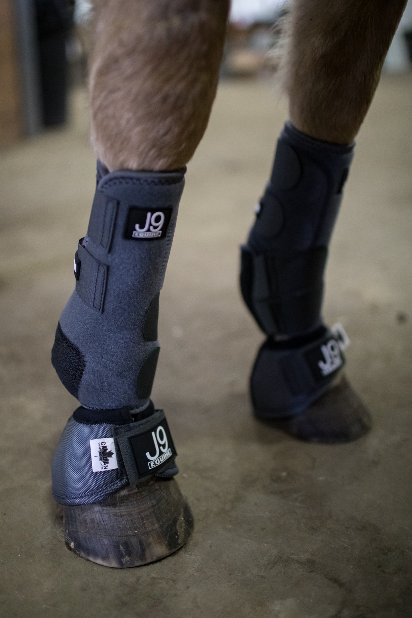 Platinum II Sports Boots FRONTS AND HINDS