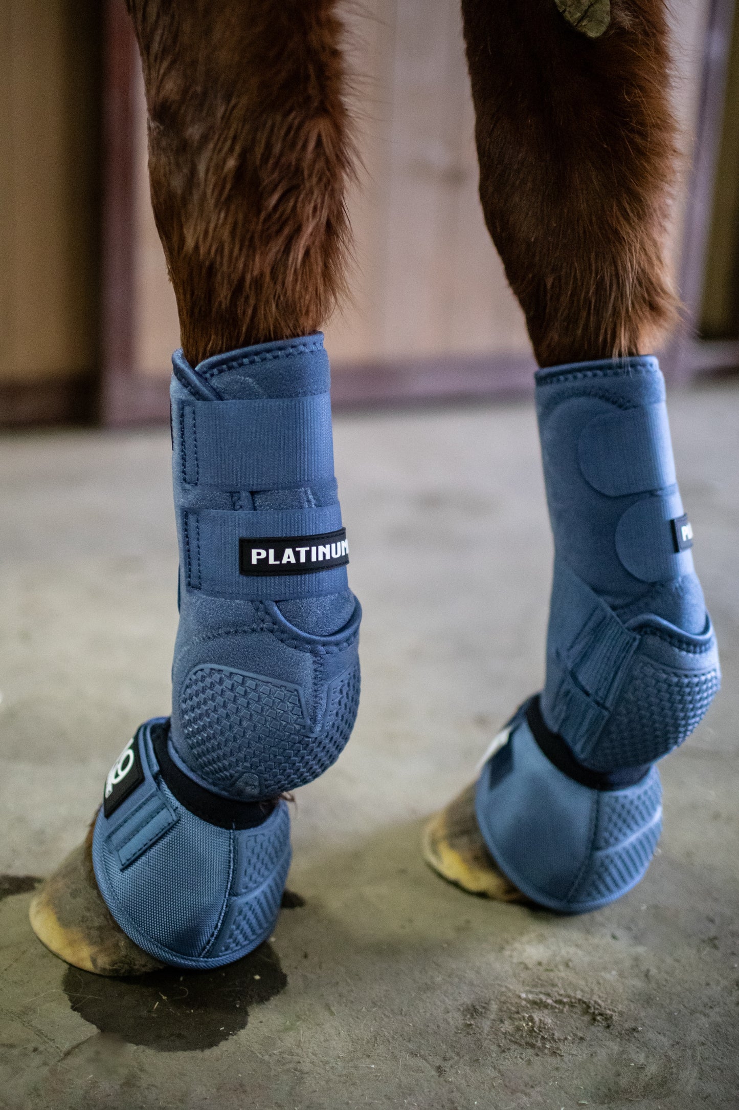 Platinum I Sports Boots FRONTS AND HINDS