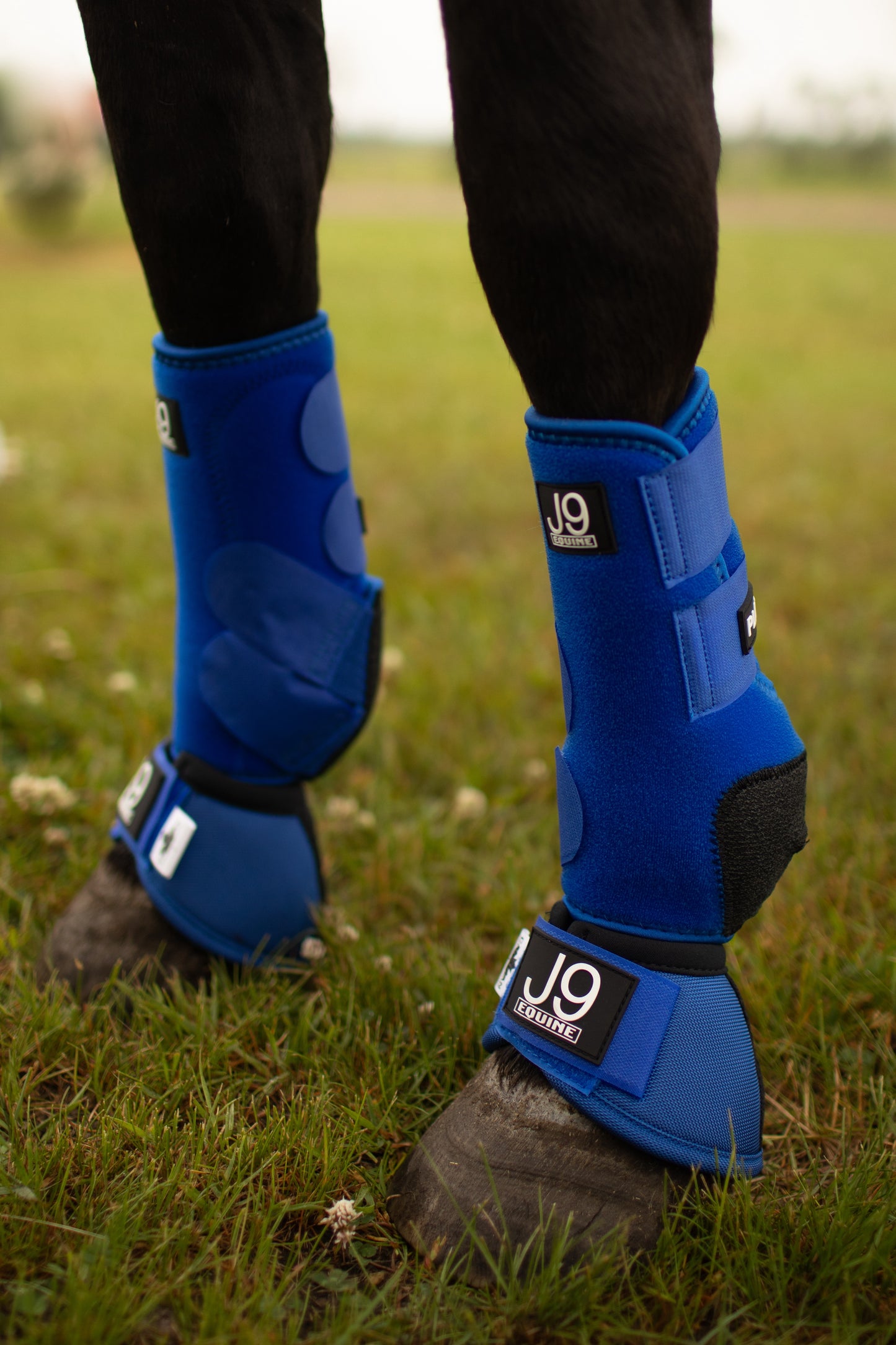 Platinum II Sports Boots FRONTS AND HINDS