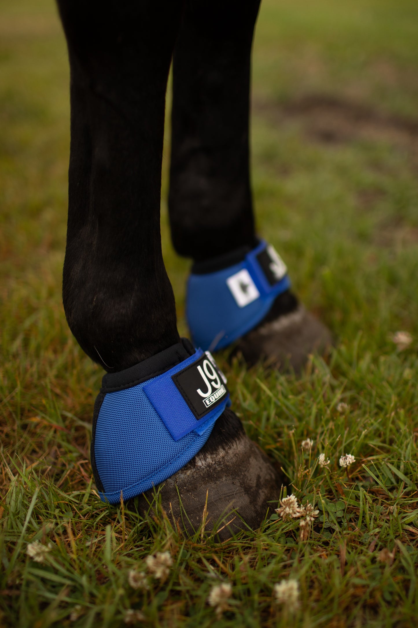 Platinum II No Turn Bell Boots