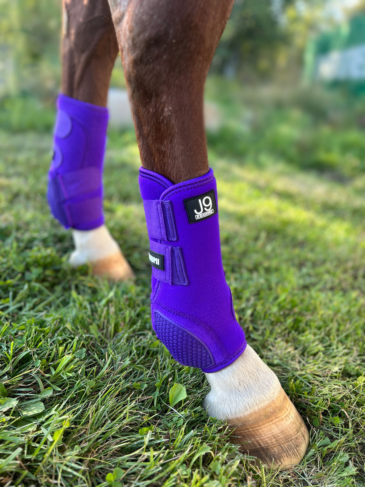 Platinum I Sports Boots (New Version) HINDS
