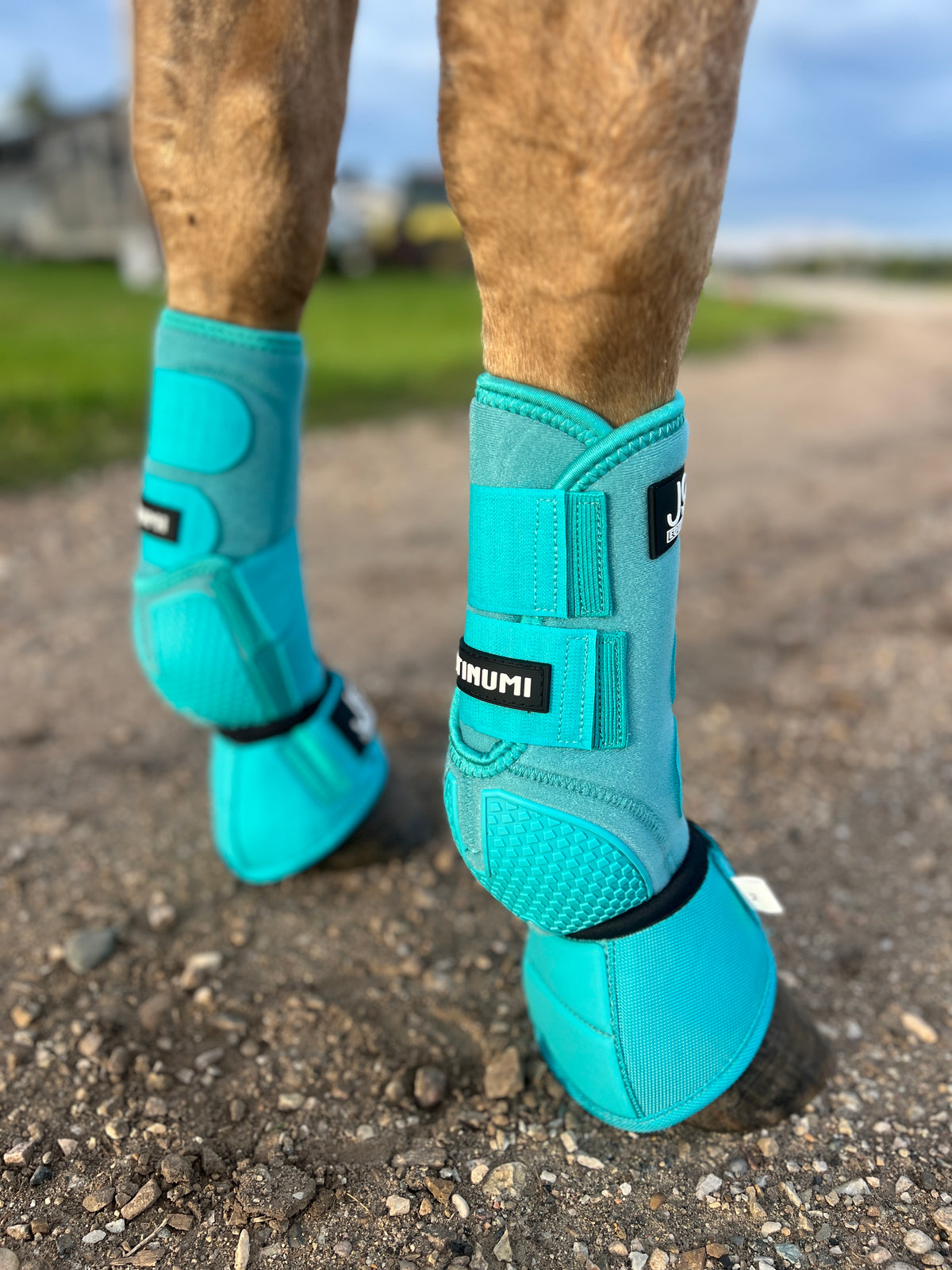 Platinum I Sports Boots (New Version) FRONTS